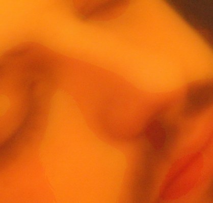 DSC06082_crop2_layers