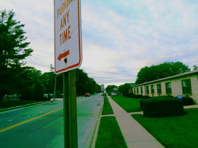 DSC00512_gradgreen_sat_brightcontr