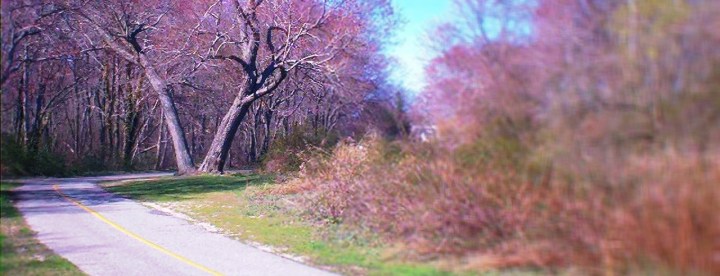 Image-107_focal point_sat_contr_banner