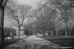 scan016__edit1_wmk-1